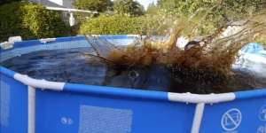 Ini yang Terjadi Jika Mandi di Kolam Coca-Cola Campur Mentos