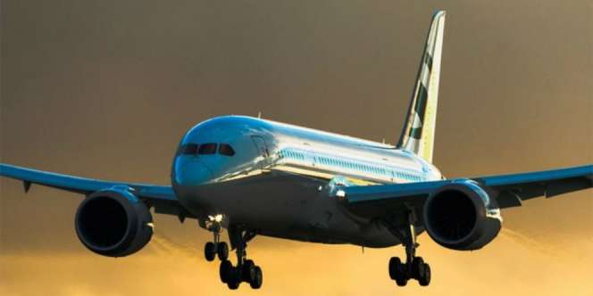 Wow! Ini Jadinya Boeing 787 Diubah jadi Pesawat Pribadi