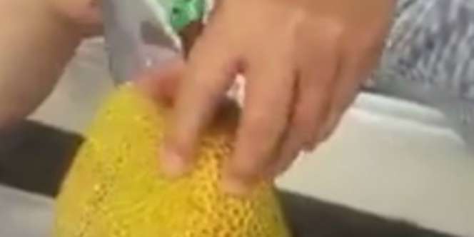 Ternyata Begini Cara Mengupas Nangka yang Benar