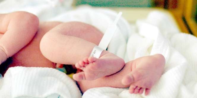 Heboh! Wanita Ingin Punya Anak dari Mayat Tunangan