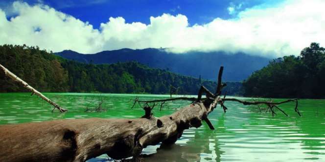 Keindahan 10 Spot Wisata Wonosobo yang Buat Turis Ogah Pulang