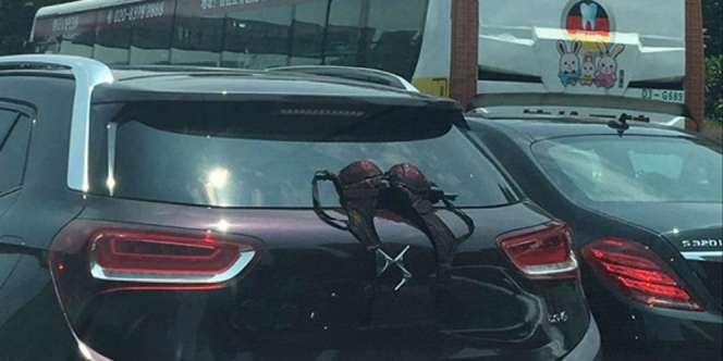 Heboh Mobil ke Mana-mana 'Bawa' Bra di Kaca Belakang