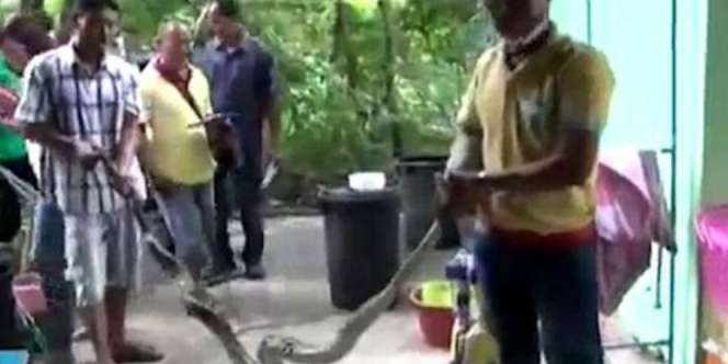 Buang Hajat di Toilet, Si Wanita Kaget Ternyata Keluar...
