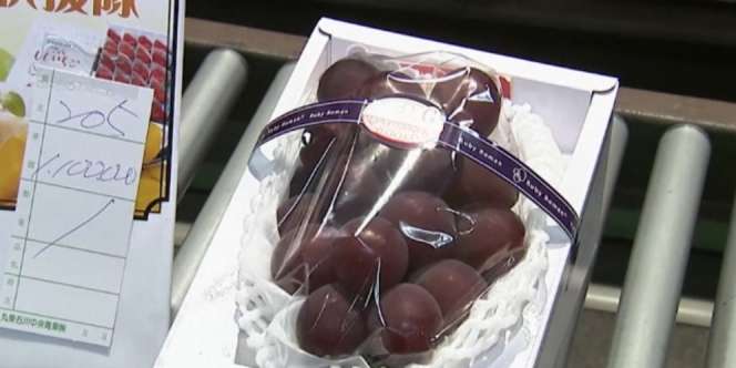 Wow! Ini Harga Anggur Termahal di Dunia