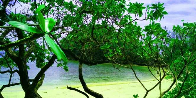 Rayuan Pantai Perawan di Ujung Malang Selatan