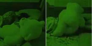Seram! Boneka Ini Bergerak Memeluk...