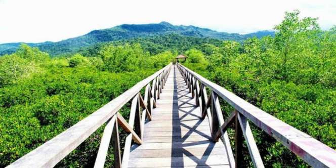 Sensasi Refreshing di 'Jembatan Galau' Trenggalek
