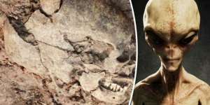 Tengkorak Aneh Lonjong Seperti Telur, Jasad Alien?