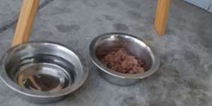 Pemilik Restoran Pasang CCTV, Melihat Hal yang Memilukan