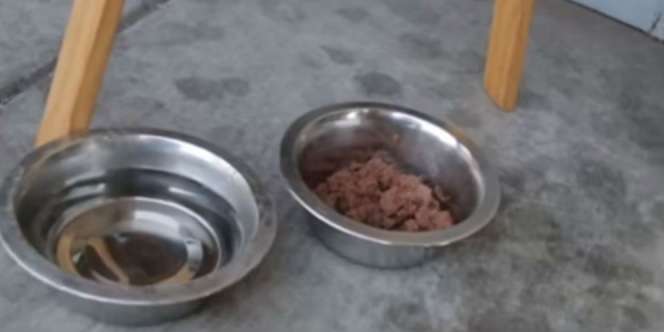 Pemilik Restoran Pasang CCTV, Melihat Hal yang Memilukan