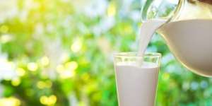 Manfaat Lain Susu untuk Kesehatan Rambut