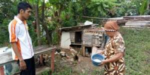 Niat Kuat Berkurban Peternak Ayam Kampung Bikin Haru