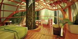 10 Rumah Pohon Terindah Layaknya di Negeri Dongeng