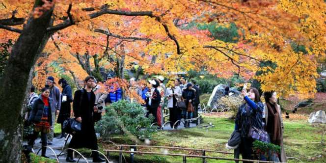 3 Cara Terbaik Menikmati Musim Gugur di Jepang