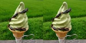 Es Krim Topping Belalang, Berani Coba?
