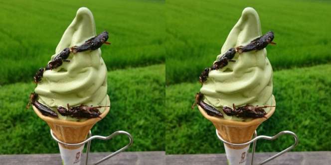 Es Krim Topping Belalang, Berani Coba?