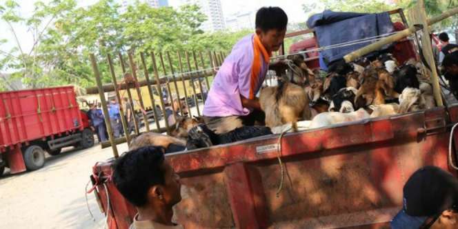 Punya Banyak Uang Tapi Tidak Berkurban, Berdosakah?