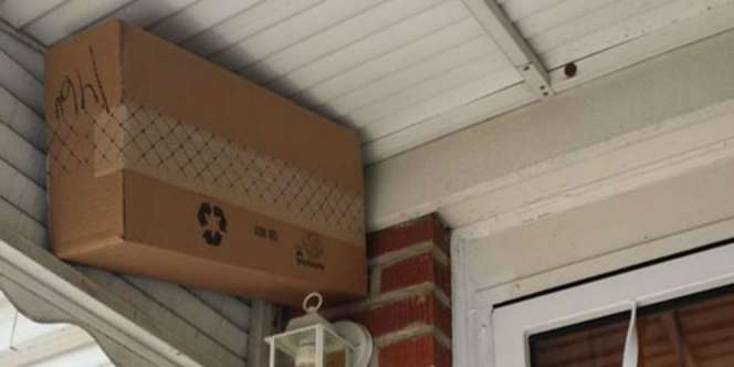 9 Ulah Kurir Pilih Tempat Aneh Sembunyikan Paket Kiriman