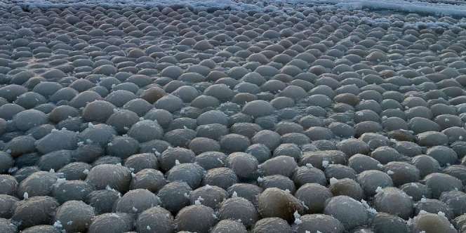 Fenomena Aneh, Bola-bola Es Misterius Muncul di Pantai Ini
