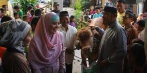 Elma Theana Qurban Sapi Tahun Ini