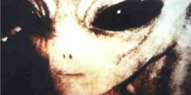 15 Foto Kemunculan Alien yang Melegenda (2)