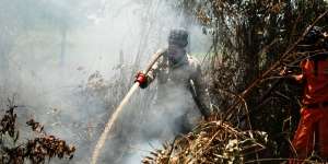 Fatwa MUI: Bakar Hutan dan Lahan Haram!