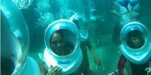 Hits! Wisata Menanam Terumbu Karang di Bali, Tarik Pengunjung