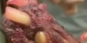 Astaga! Pesan Iga yang Didapat Kaki Anjing Lengkap sama Cakar