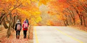 Oktober Waktu Paling Tepat Berlibur ke Korea, Ini Sebabnya
