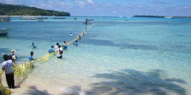 Mane'e, Ritual Mancing Khas Sulut yang Bikin Turis Penasaran