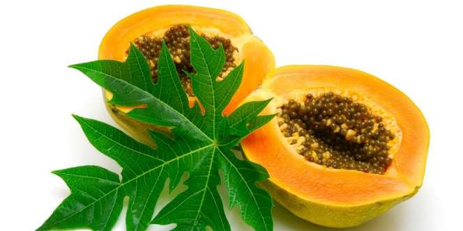Manfaat Mengejutkan Buah Pepaya yang Harus Diketahui