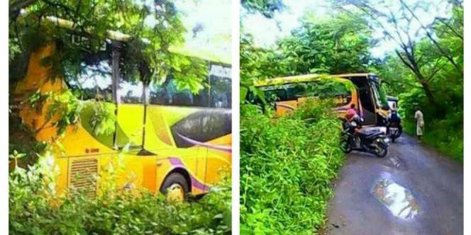Heboh, Bus Terjebak Masuk Hutan Jati Secara Misterius