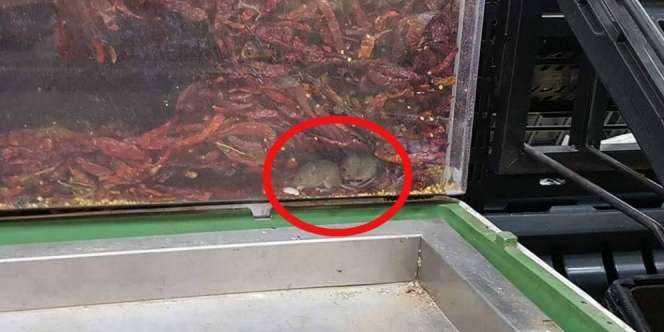 Dekati Tumpukan Cabe Kering, Si Wanita Kaget Lihat....