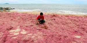 Fenomena Misteri di Pinggir Pantai Bikin Geger Warga