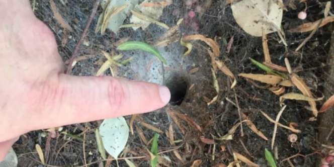 Temukan Lubang Misterius di Kebun, Saat Masukkan Jari Ternyata