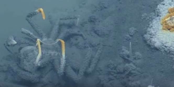 Danau Kematian di Dasar Laut Ditemukan