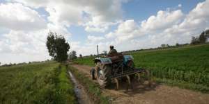 Jurus Koperasi Syariah Lindungi Petani dari Tengkulak