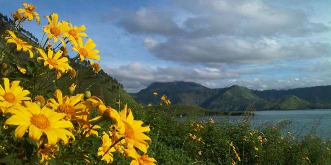 Jabu Na Ture, Sensasi Cahaya Danau Toba di Dalam Rumah