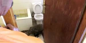 Ada Suara Aneh dari Toilet Hotel di Indonesia, Ternyata...