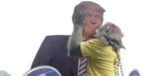 Hewan-hewan Ini Prediksi Kemenangan Donald Trump