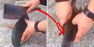 Aksi Wanita Ini Jadi Viral, Belah Kerang Ternyata Isinya...