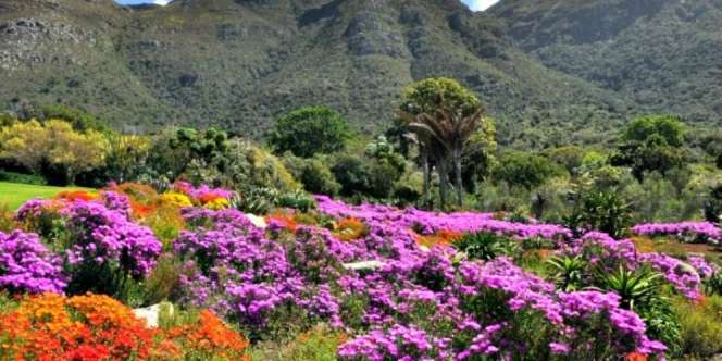 Lihat Keindahan 5 Taman Tercantik di Dunia