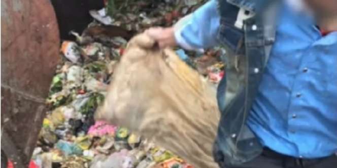 Bantal Berisi Uang Rp400 Juta Hampir Hilang di Lautan Sampah