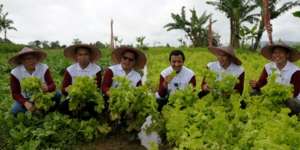 Berkah Panen di Kebun Para Pecinta Alquran