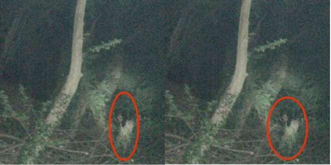 Tak Sengaja Terekam Kamera, Wanita Ini Diikuti Hantu Bocah