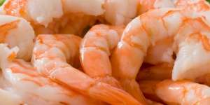 Trik Aman Memberikan Seafood untuk Bayi