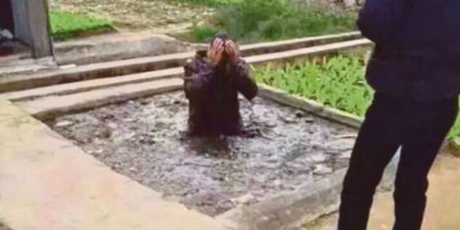 Tepergok Curi Hewan, Maling Dihukum Masuk Septik Tank