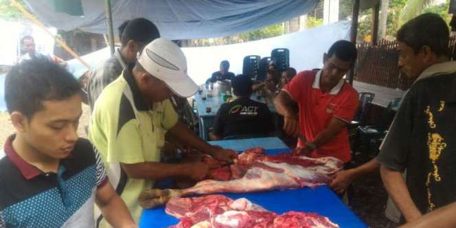 Potong Sapi, Awali Pemulihan Pidie Jaya