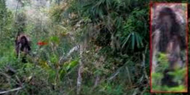 5 Hantu Kalimantan yang Bikin Warga Ketakutan