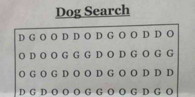Inikah Puzzle Paling Sulit Sejagat?
